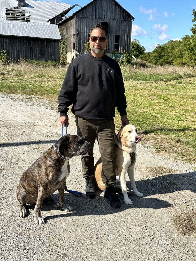 A man and two dogs on the side of a road.