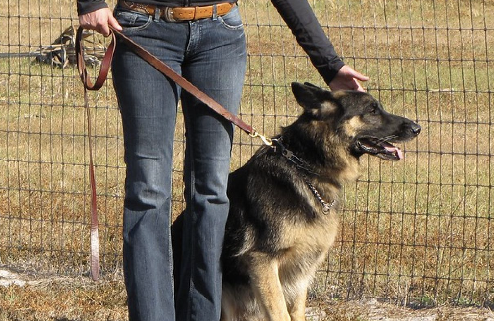 A woman holding onto the leash of her dog
