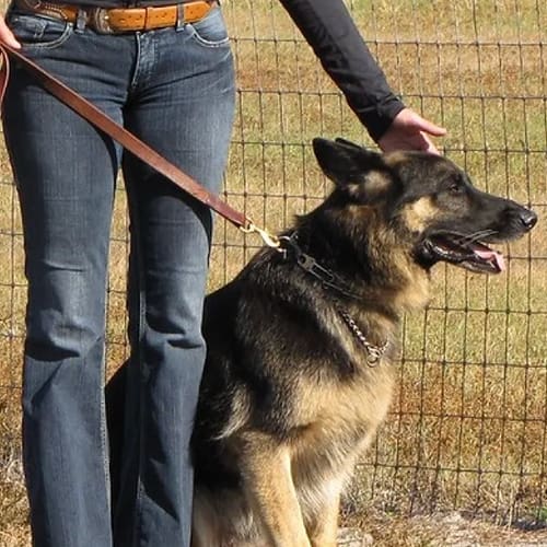 A woman is walking her dog on a leash.