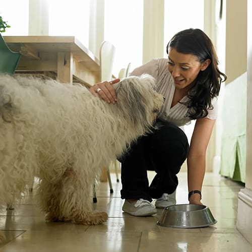 A woman is petting her dog on the floor