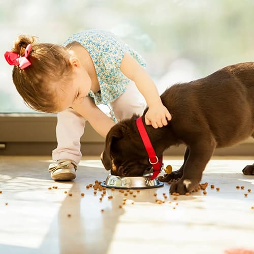 A little girl feeding her dog food from the bowl.