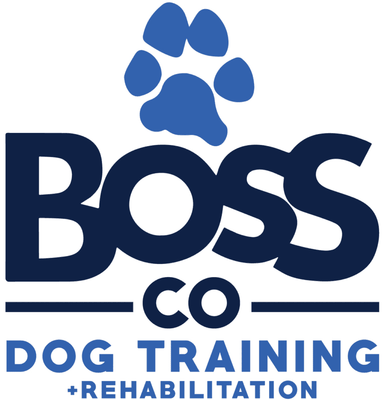 A blue logo for boss co dog training