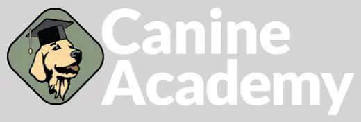 66f7094eda7ba_Canine-Academy-Logo (1)